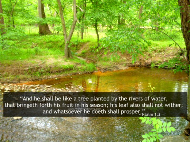 he shall be like a tree planted by the rivers of waters