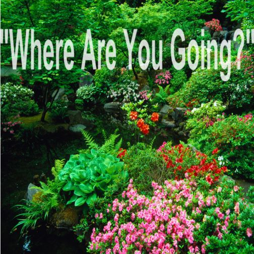 where are u going-001