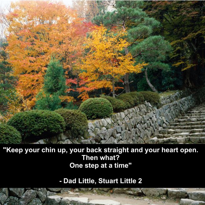 stuart little-001 (3)