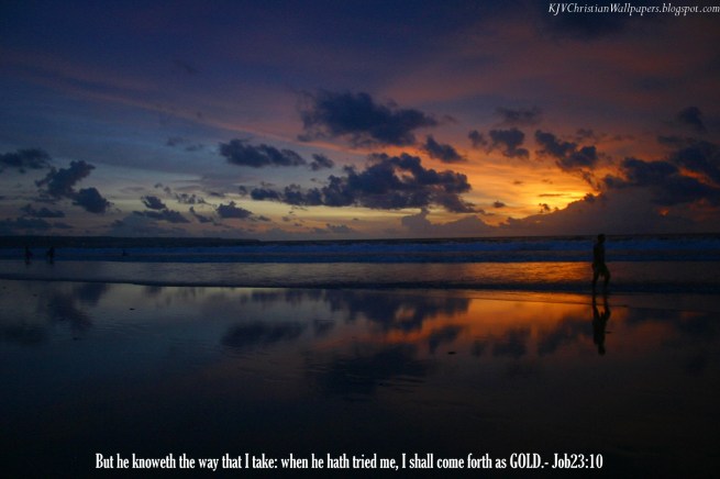 4322626747_4b0a3a8304_o