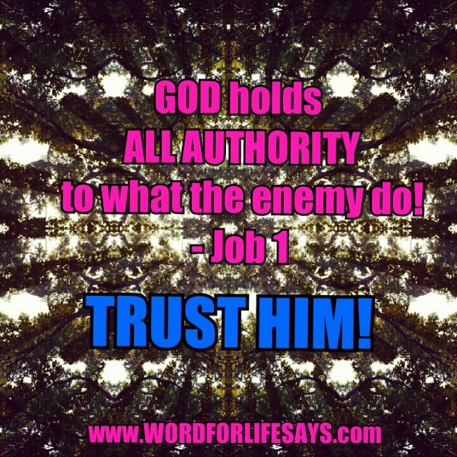 PhotoGrid_1408065556258