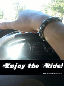 enjoy the ride-001