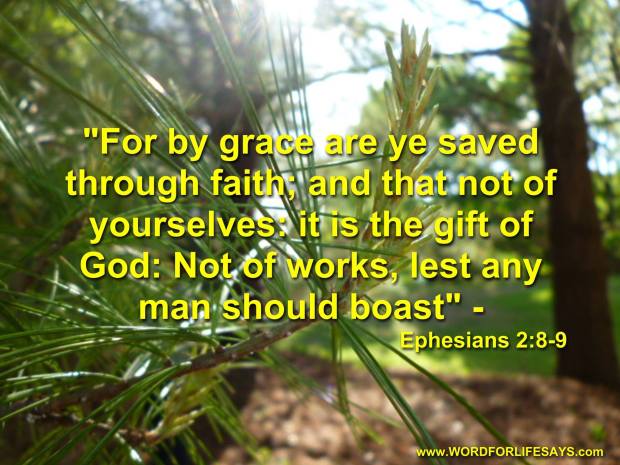 10357673_512790508821058_8903007792337739379_o