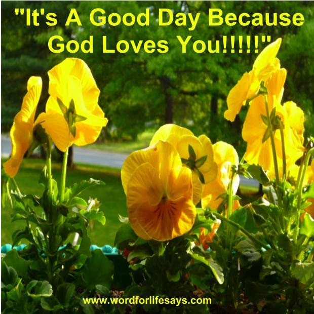 10397160_516660941767348_9048953953920949278_o