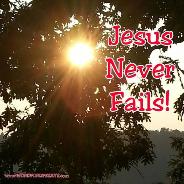 10550884_535404786559630_8047595921489392735_n