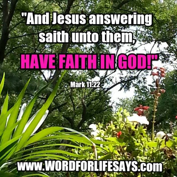 10653757_549002991866476_984519781793505581_n