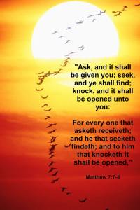 1519790_469681759798600_72378965_o