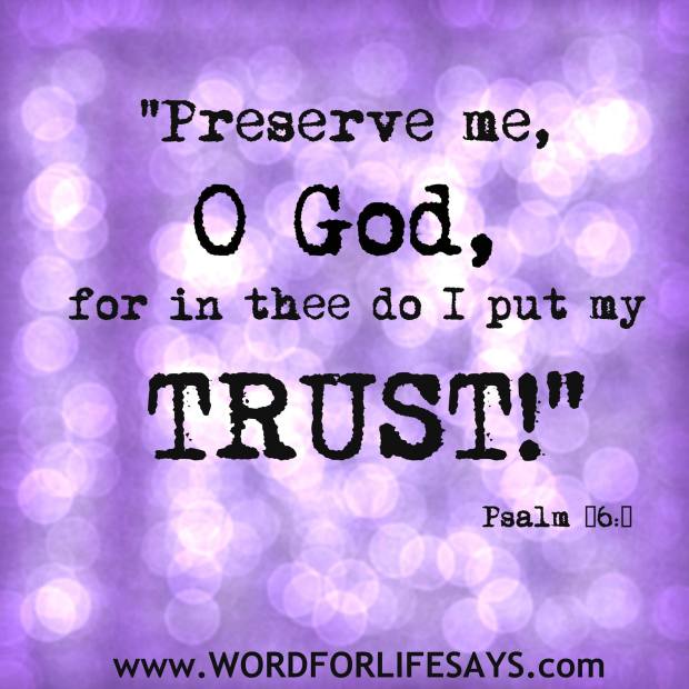 1781128_561472020619573_641895717612374426_o