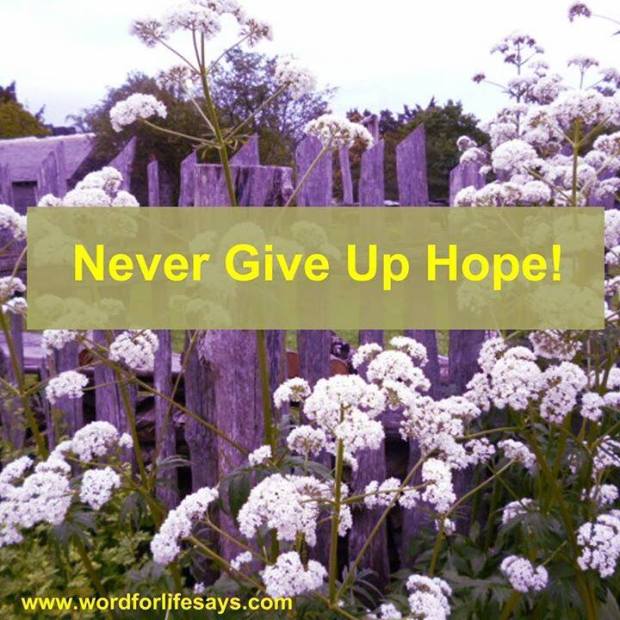 10952564_614039715362803_6252643781804126275_n