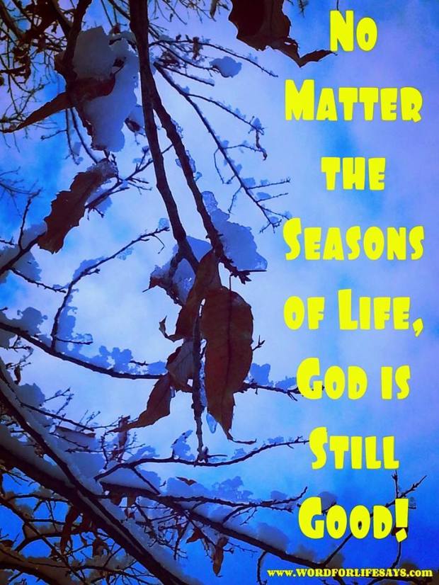 10987617_628198143946960_42235336565478538_n