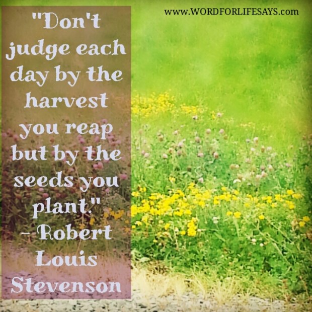 PhotoGrid_1420429875557