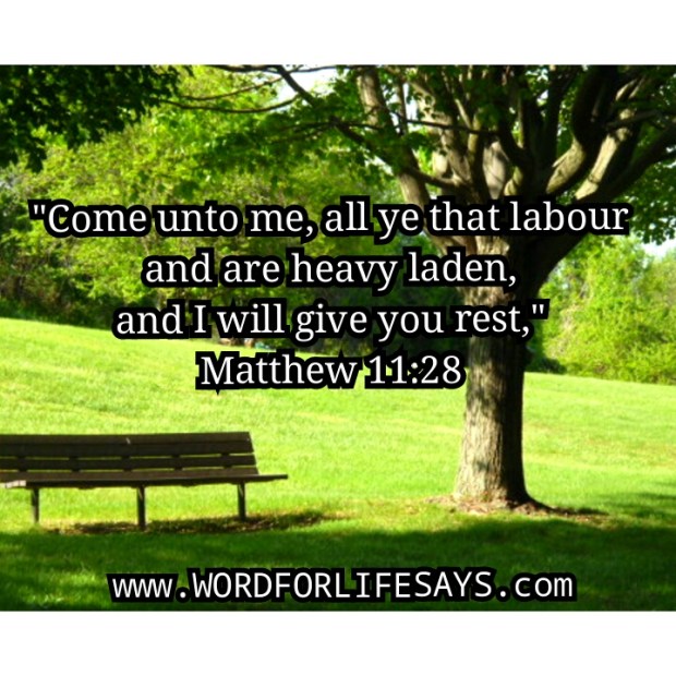 PhotoGrid_1420892774463