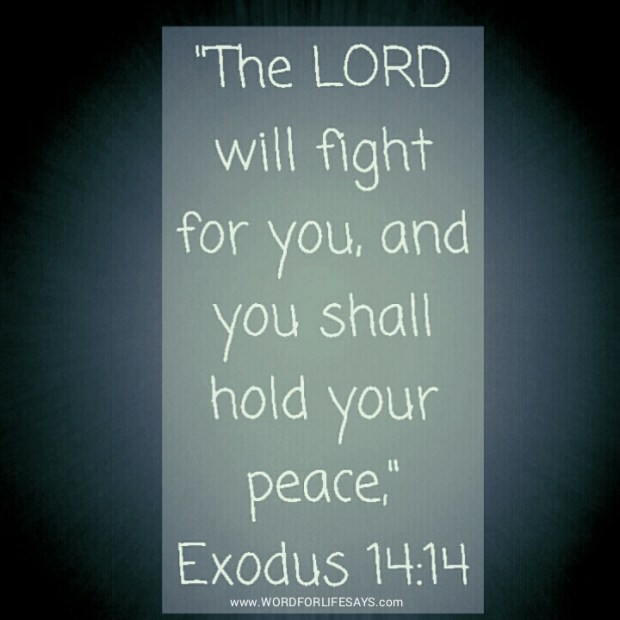 PhotoGrid_1421012823642