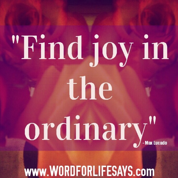 "Find joy in the ordinary!" www.wordforlifesays.com wpid-photogrid_1421886106205.jpg