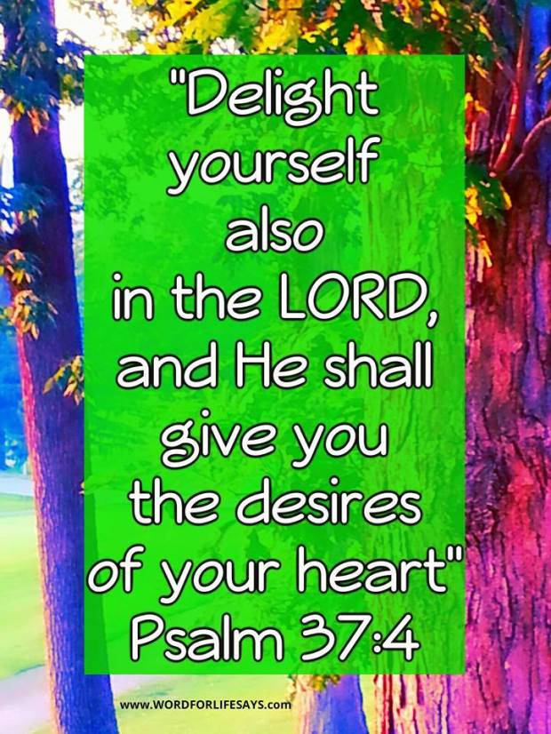 10370419_628893450544096_3622865116908854536_n