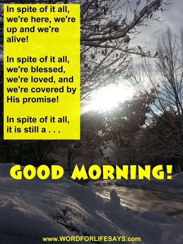 10505086_584128351687273_2046483190419975130_o