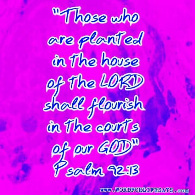 10592897_626088940824547_3763056616467607887_n