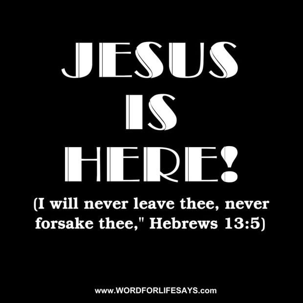 10644506_554957091271066_8957214010346432745_o