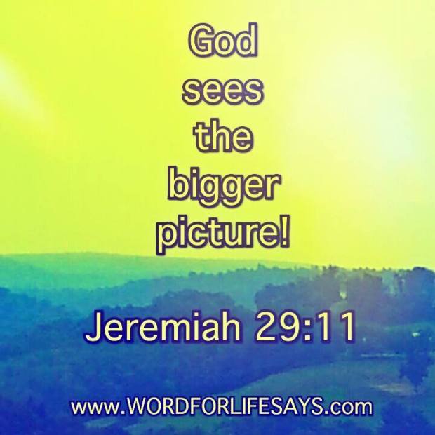 11021275_626219834144791_5025766879084278414_n