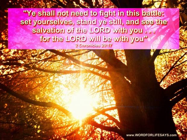 15884_627528154013959_8176060610548417031_n