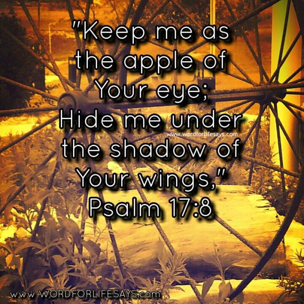 keep me as the apple of Your eye