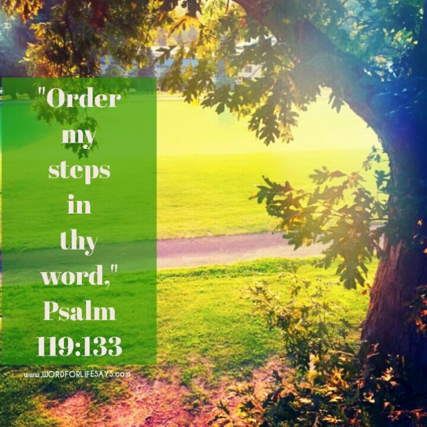 PhotoGrid_1422414561481