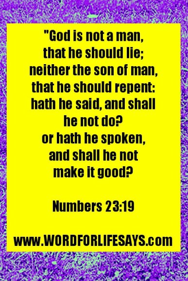 PhotoGrid_1423048763687