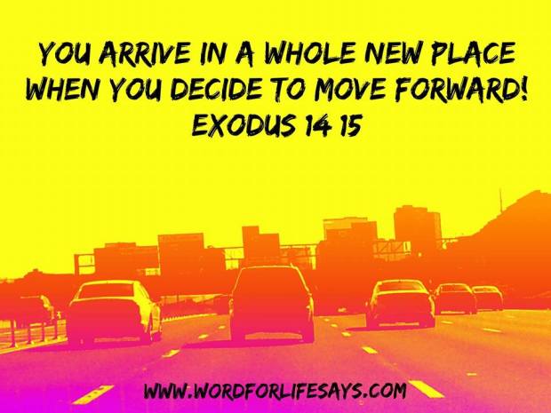 11081143_639636342803140_4067570682990253500_n