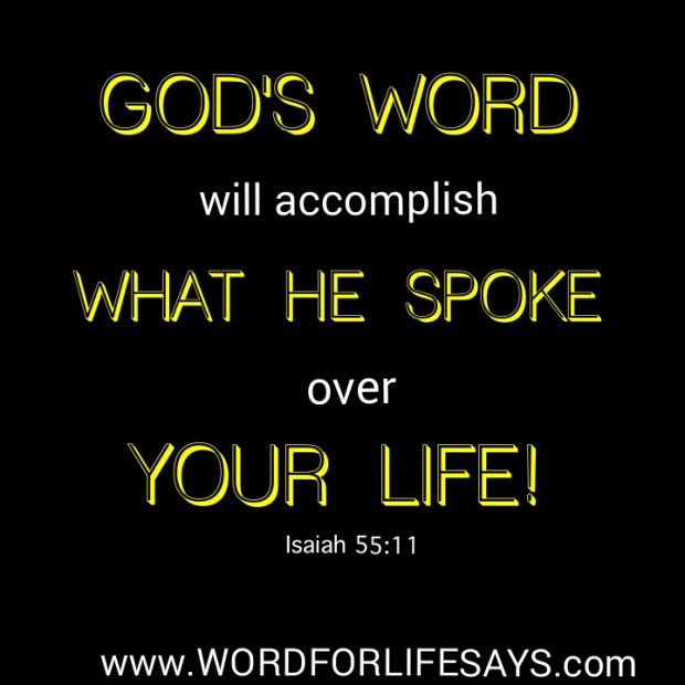 PhotoGrid_1426810430012