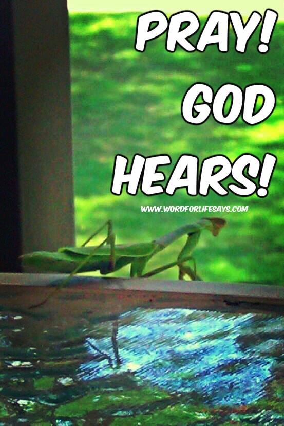 11403405_672410569525717_1186449211127011710_n