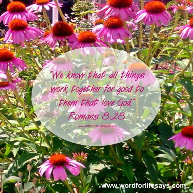 PhotoGrid_1434461107213