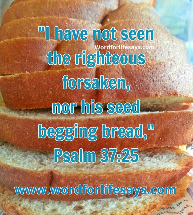 11781737_682788675154573_1525486716156058247_n