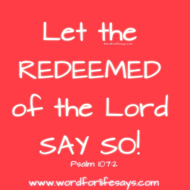 My Project 97-001_20150724081935492