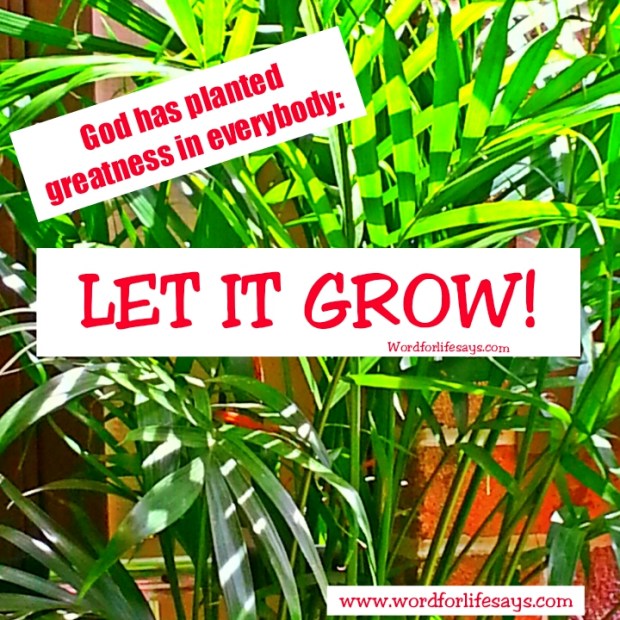 PhotoGrid_1437742583589