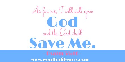 11053405_686703311429776_7408719585035956750_n