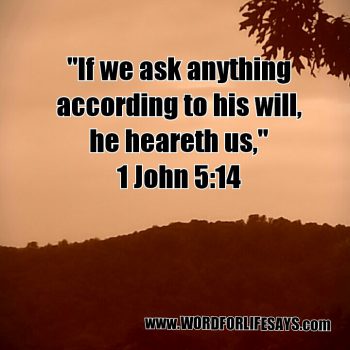 ask anything according to his will
