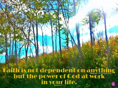 Hebrews 11 1 faith tree penn background