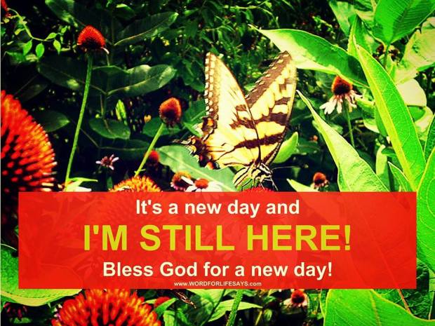 10403405_623359707764137_5047777629051059006_n