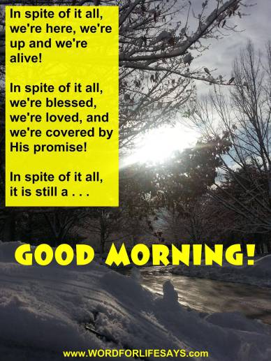 10505086_584128351687273_2046483190419975130_o