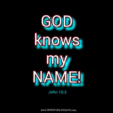 PhotoGrid_1422411703145