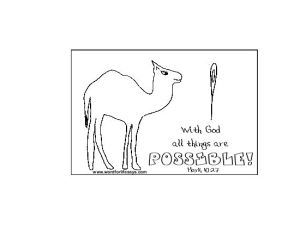 Camel Flag Craft-001