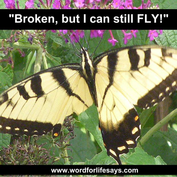 10258705_516661508433958_5180777458435155685_o