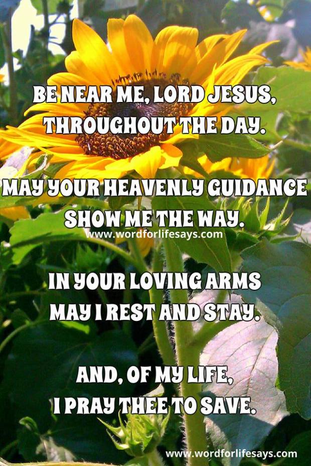 12961675_790139684419471_2612230313189401290_n