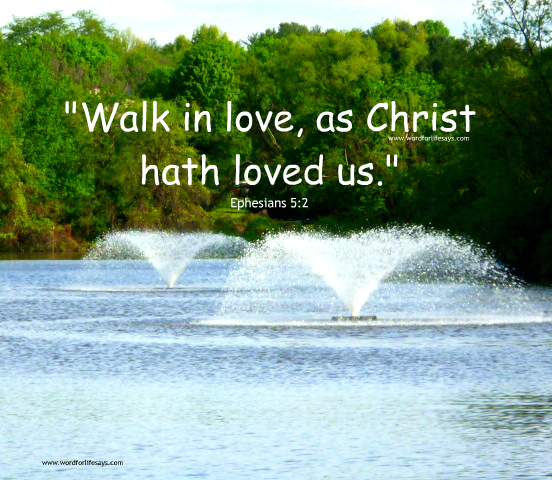 ephesians 5 2 wordforlifesays