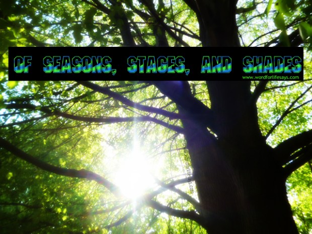 of seasons stages and shades