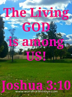 13310406_813928925373880_9201939011425732314_n