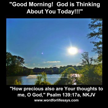 13346546_813896685377104_876791784319637219_n