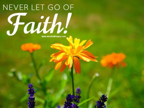 never-let-go-of-faith-marigold-pixabay-free-picture