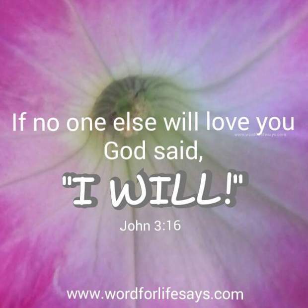 15698307_953962874703817_2680879664272079734_n