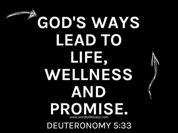 15740991_957703780996393_2160628186747521582_n